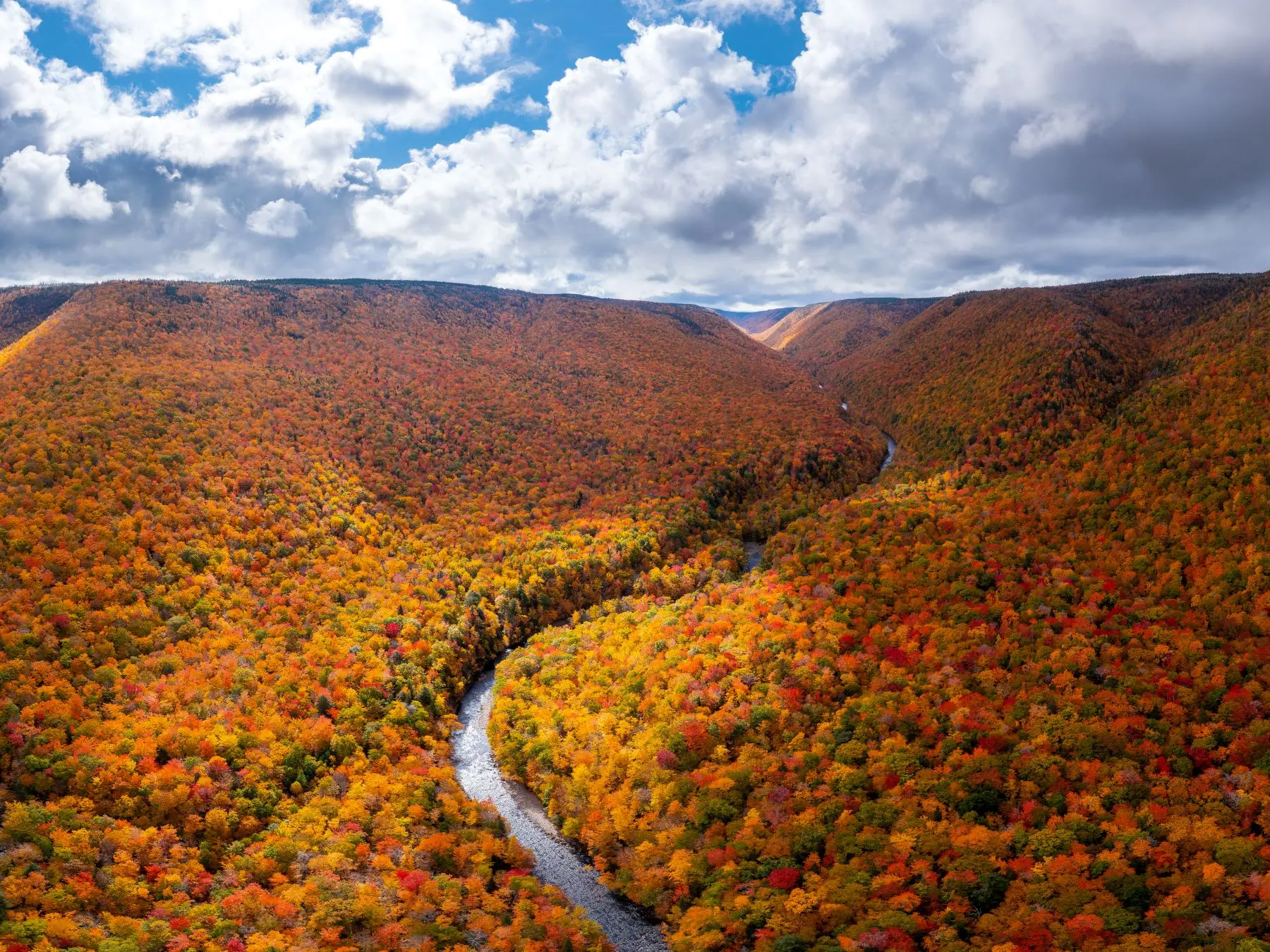 Cape Breton Highlands