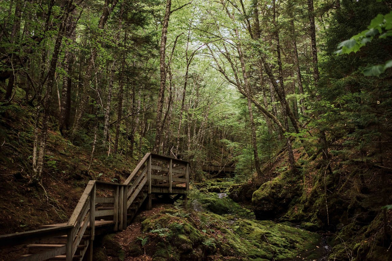 Fundy National Park
