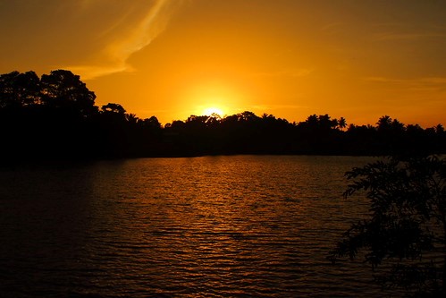 Work & Play Team Deal