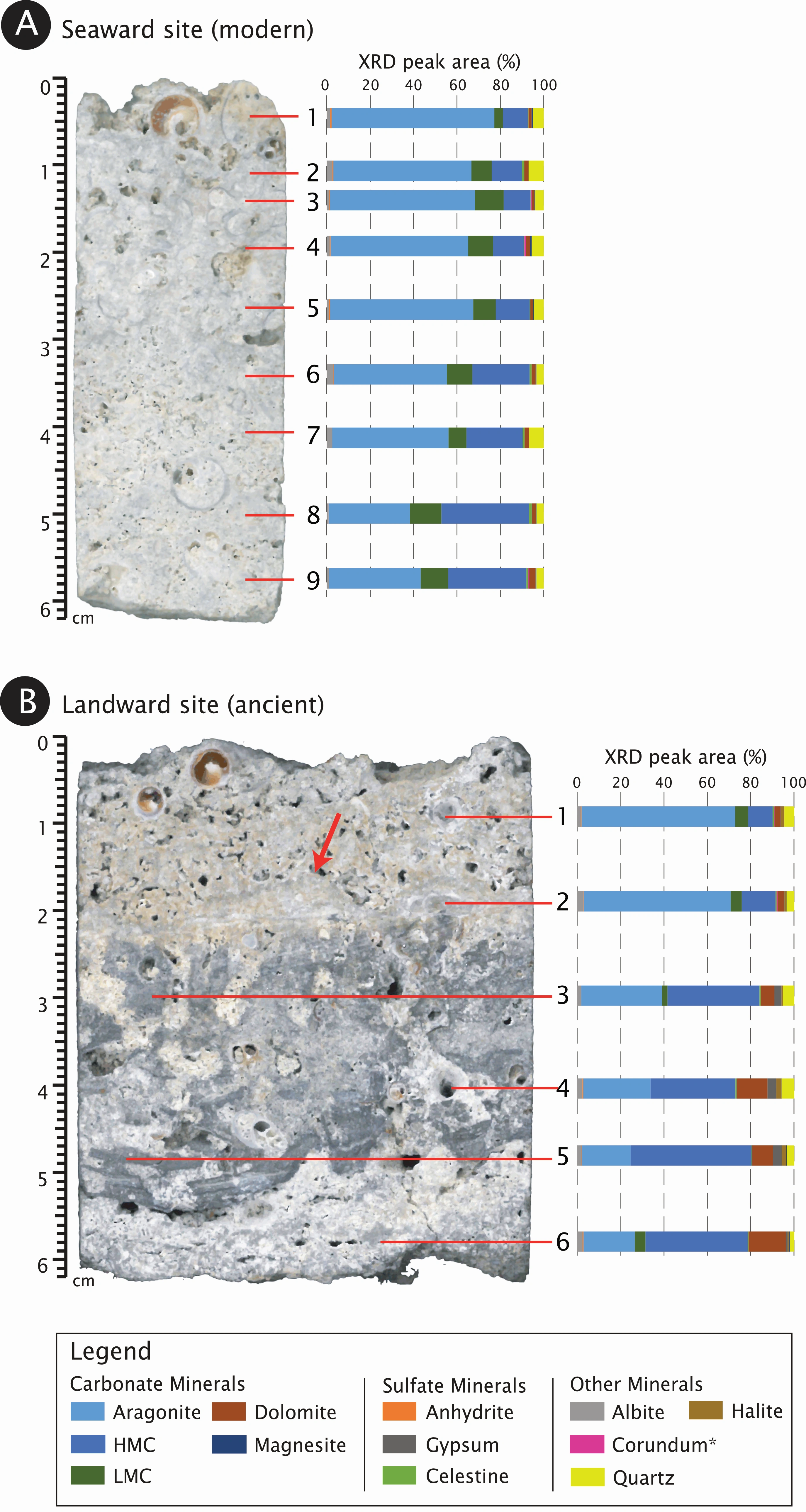 Scientific figure showing a cross-section through a rock specimen with chemical analysis data