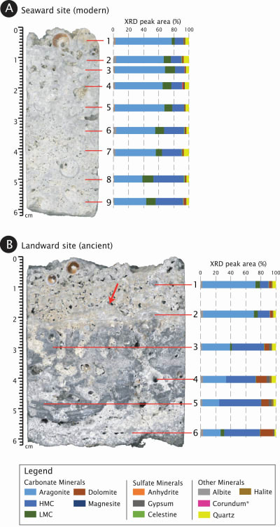 Scientific figure showing a cross-section through a rock specimen with chemical analysis data