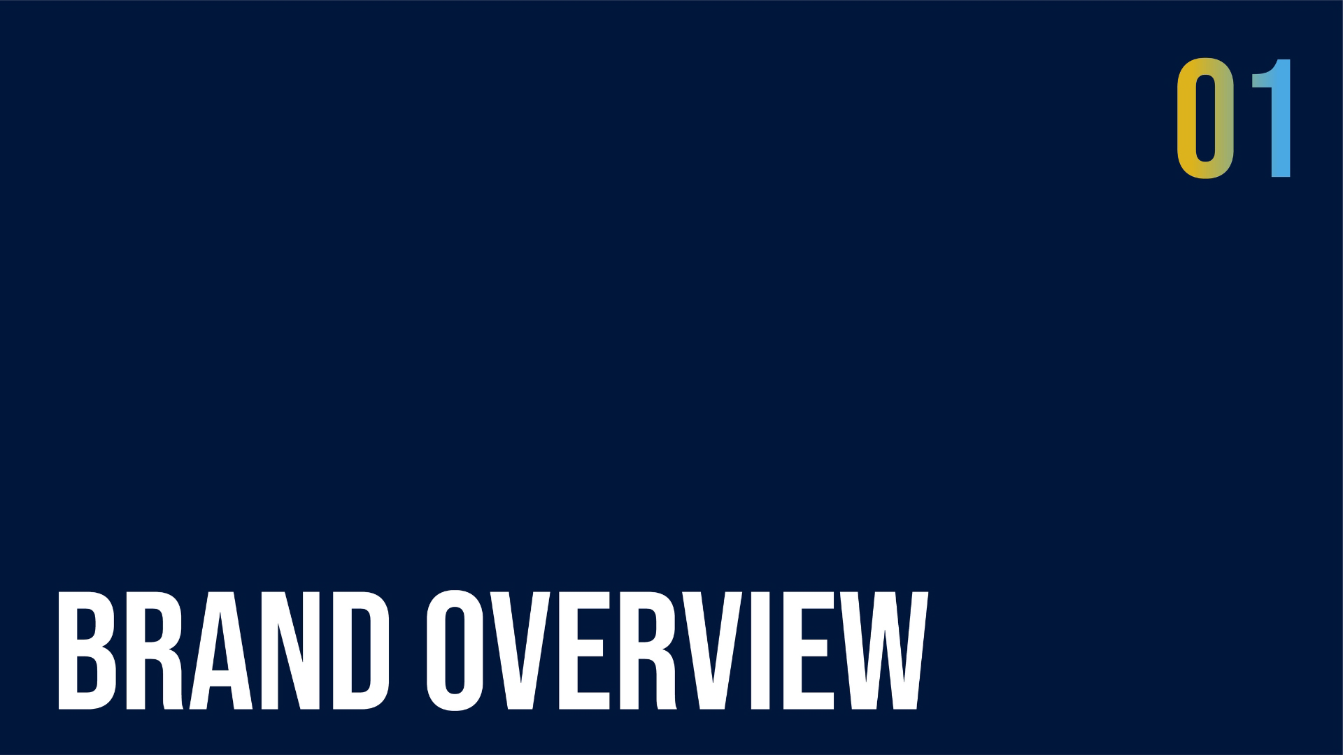 HOPEBRIDGE FC visual 4