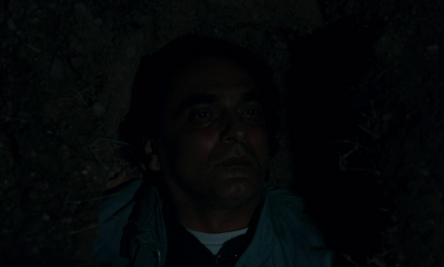 Il ne faut qu'une mûre pour être heureux ?