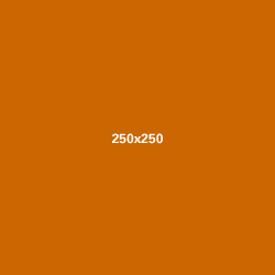 250x250 