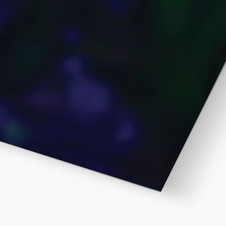 https://res.cloudinary.com/dfqoyvi4w/image/upload/v1727389639/whenulove/eyjryuthkwuxvhr2ihk1.jpg