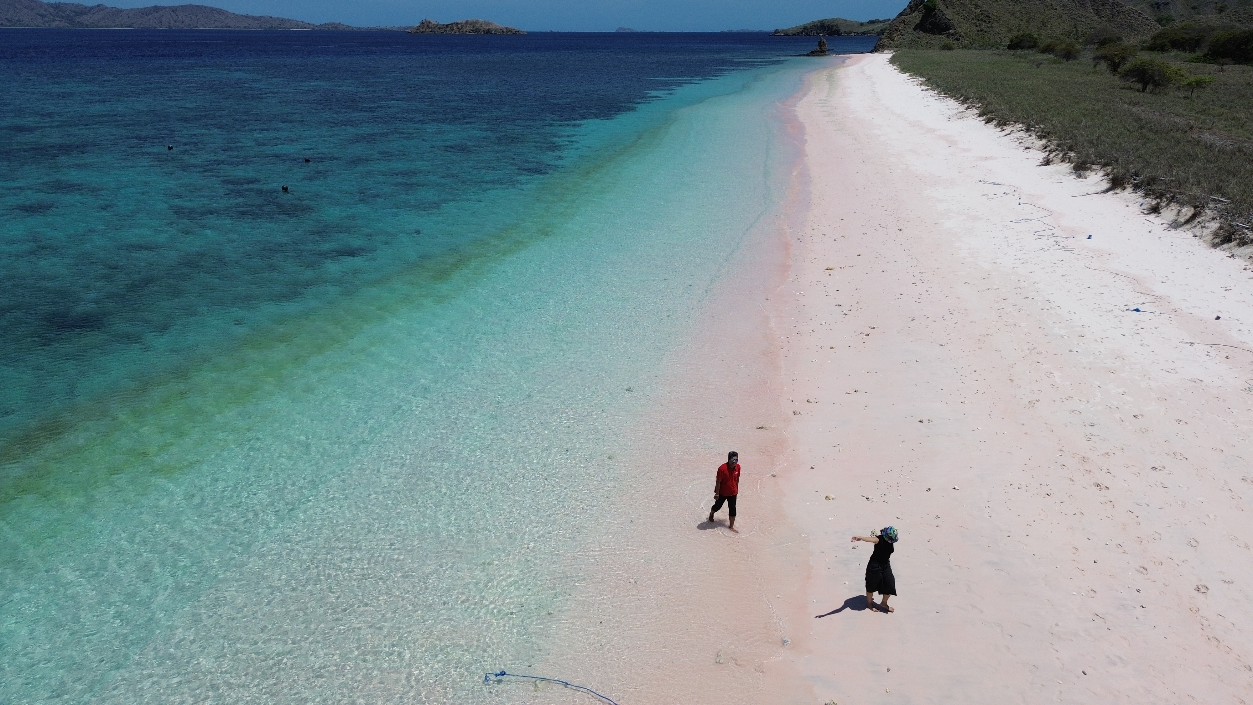 Pink Beach Komodo with pale pink sand on a private Komodo tour 2026