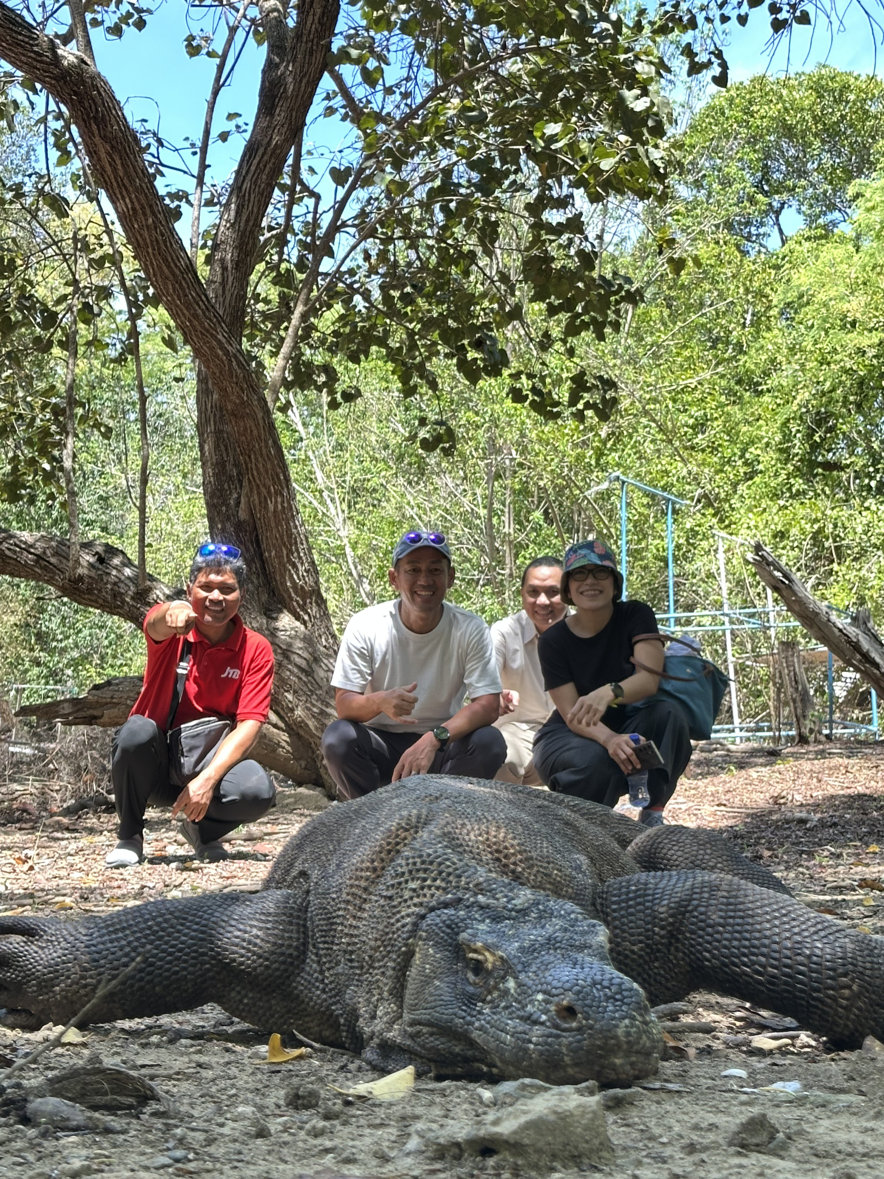 Komodo Island ranger walk experience on a private Komodo tour 2026