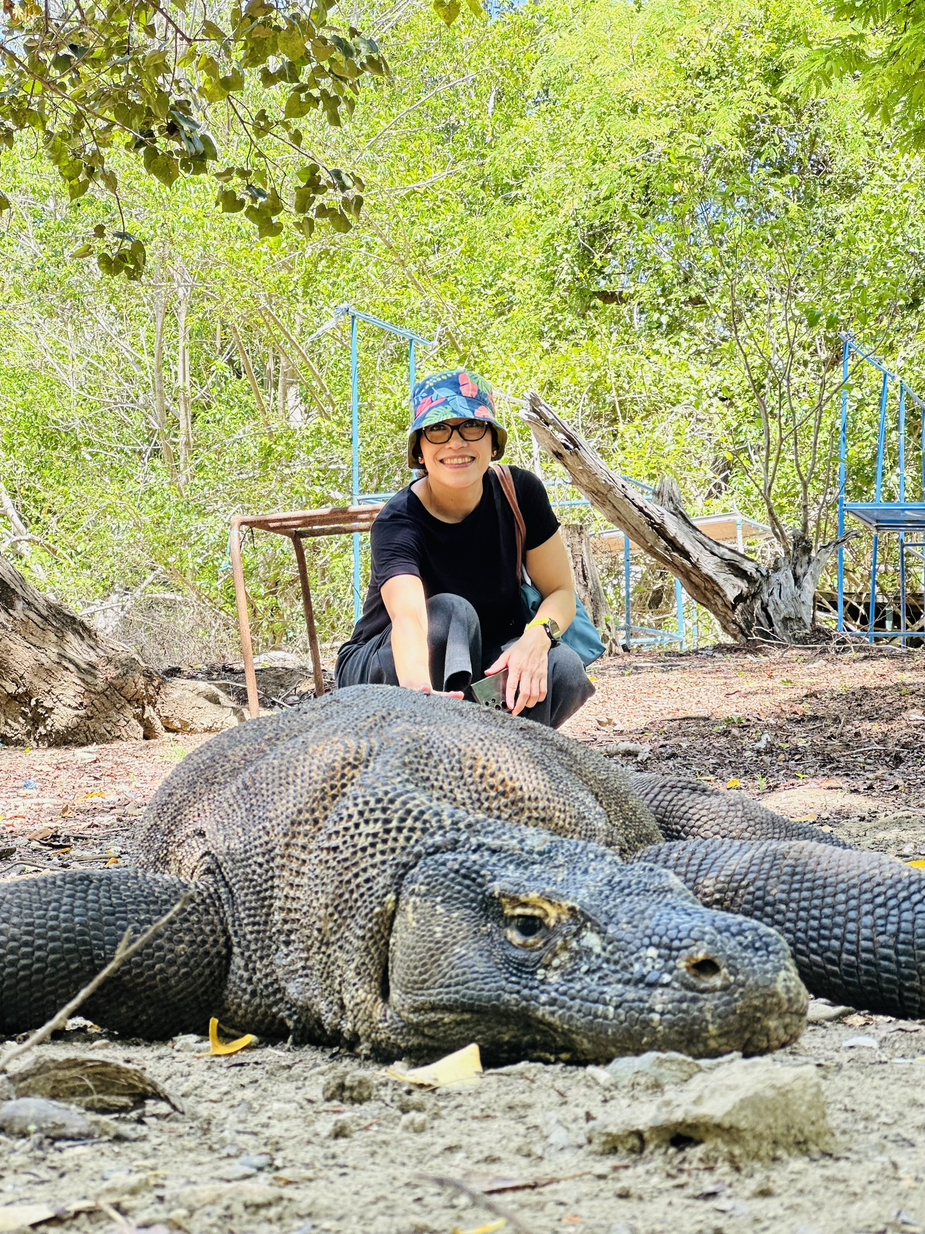 Komodo dragon during a private Komodo tour 2026 with ranger walk in Komodo National Park
