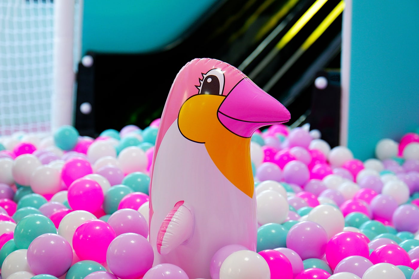 DSCF3731 dfn4r0