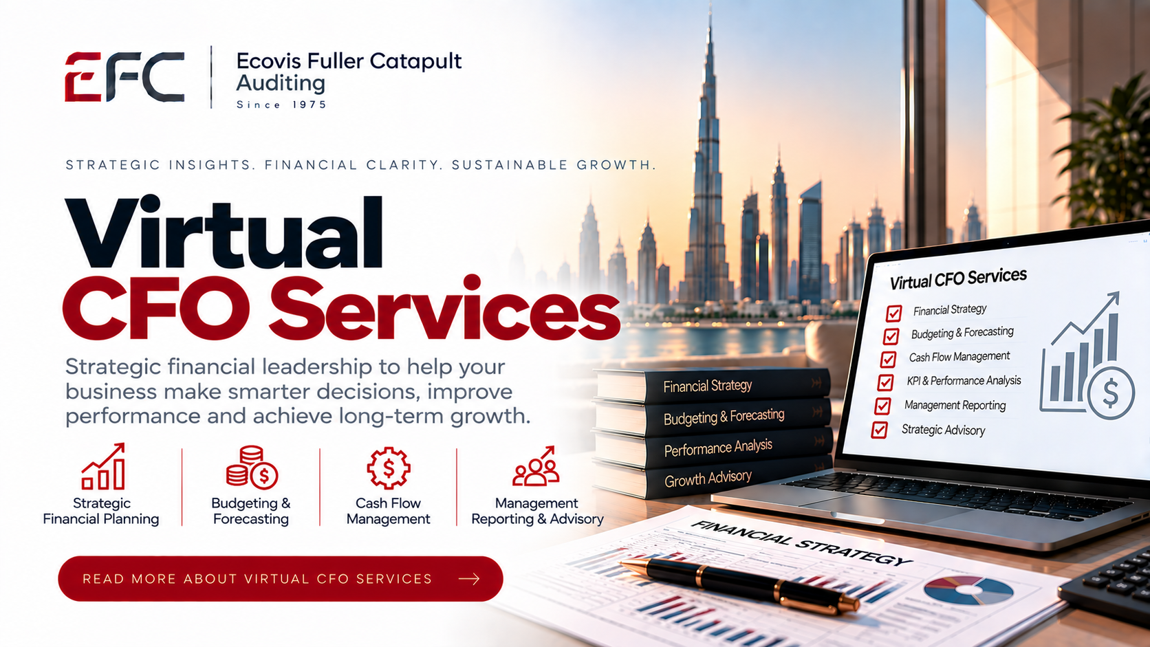 Virtual CFO Services