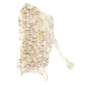 Dance and Performance Art Video Exhibition