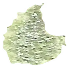 Performance Evening 001