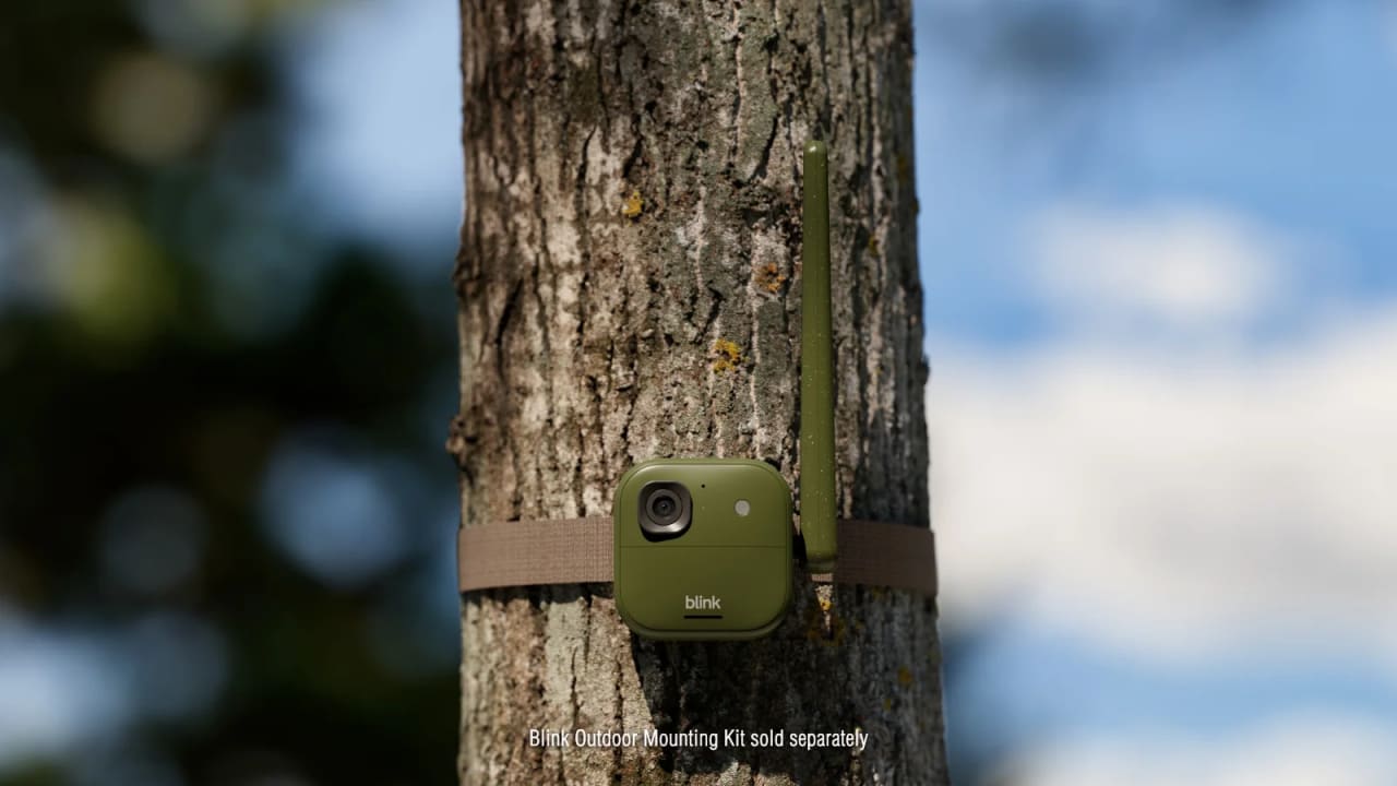 Câmera externa verde Blink Frontier XR+ instalada no tronco de uma árvore