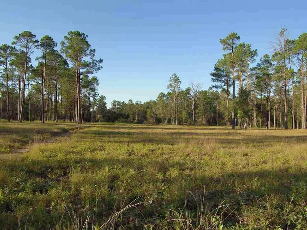 Florida Vacant Land Sales Process