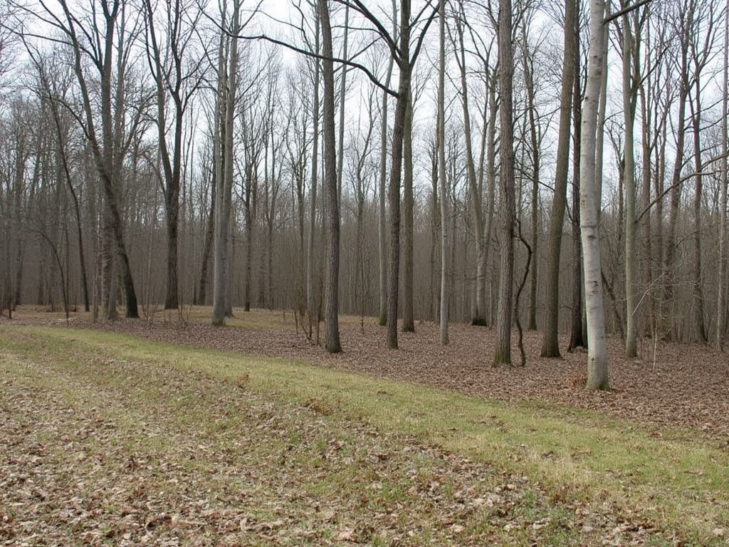 Accelerating vacant land sales in Virginia