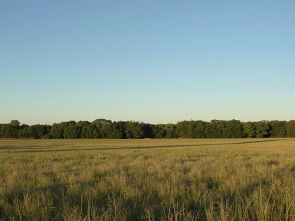 Vacant Land Sales Strategy - Texas