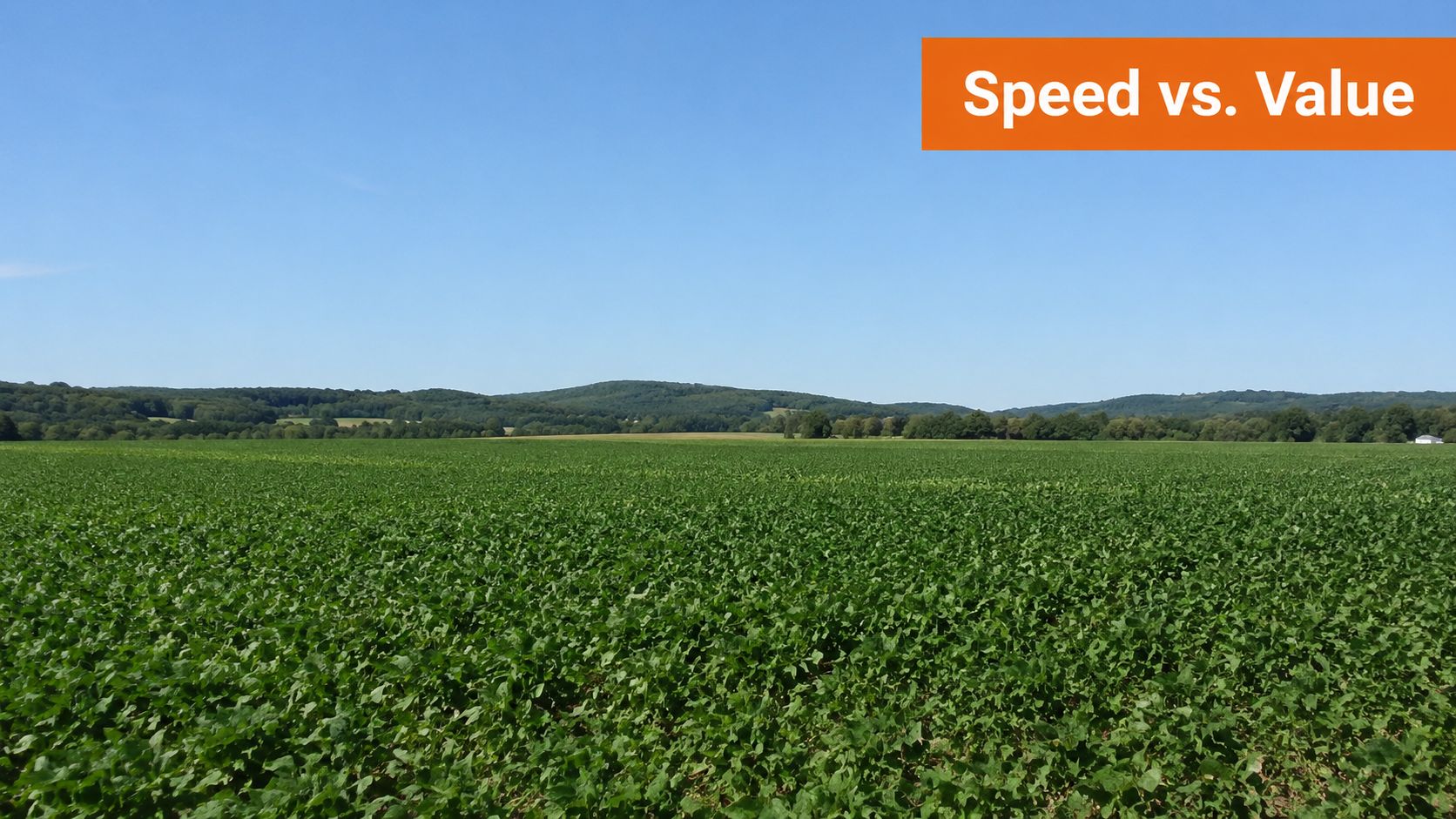 A vast, lush green field of crops stretching towards a distant forested hill under clear blue skies.