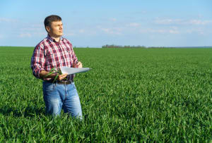 land buyer doing due diligence