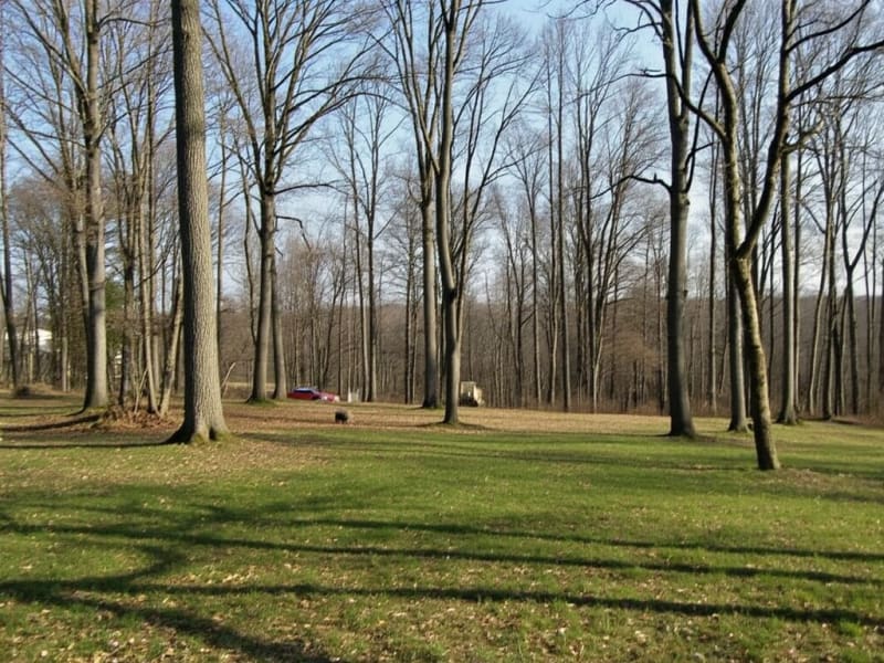 Selling vacant land quickly in Ohio