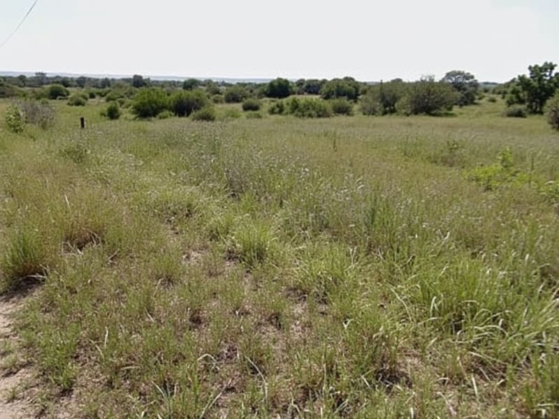 Vacant Land Sales Strategies - Blanco, TX