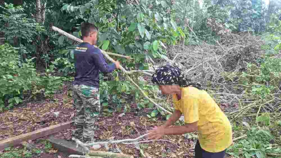 Kemanunggalan TNI dan Rakyat, Pratu Wisnu Taripino Bantu Warga Linggang Amer Cari Kayu Bakar