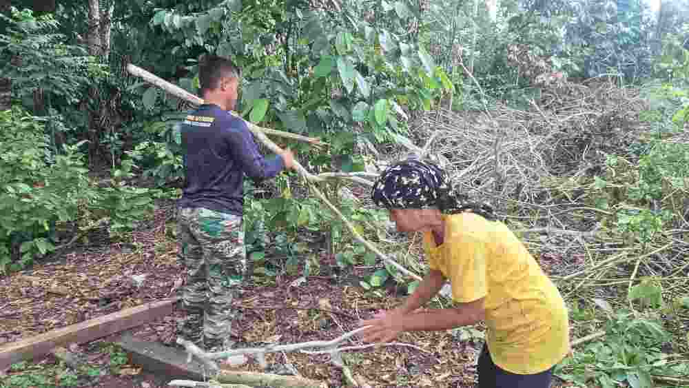 Kemanunggalan TNI dan Rakyat, Pratu Wisnu Taripino Bantu Warga Linggang Amer Cari Kayu Bakar Kemanunggalan TNI dan Rakyat, Pratu Wisnu Taripino Bantu Warga Linggang Amer Cari Kayu Bakar