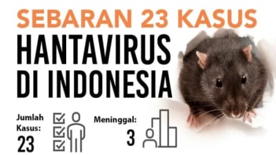 Kasus Hantavirus di RI Tembus 23 Orang, 3 Meninggal Kasus Hantavirus di RI Tembus 23 Orang, 3 Meninggal