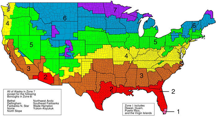 r-value map with data