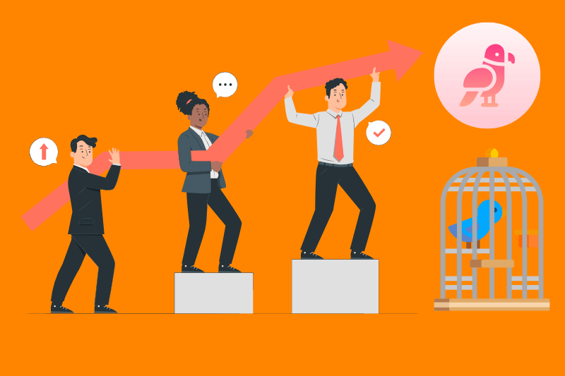 How to Make a Soundproof Bird Cage