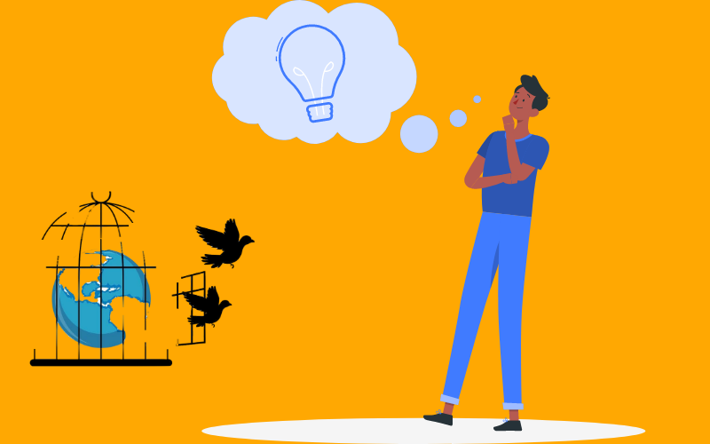 Top Considerations When Soundproofing a bird cage