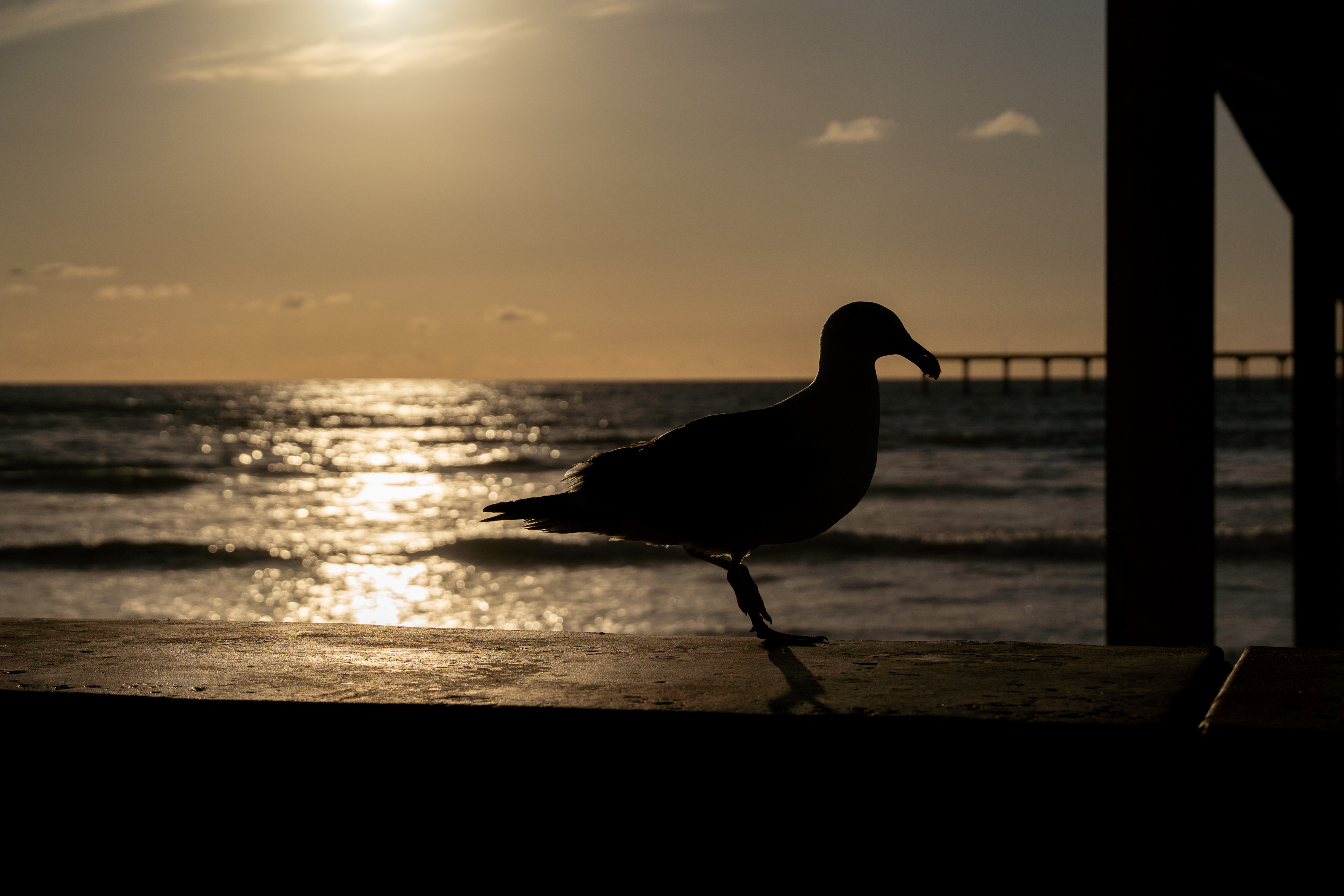 KGS05699_v5rckk