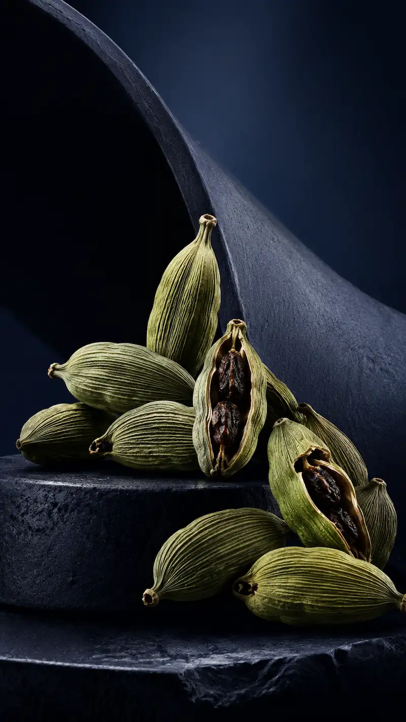 Vainas de cardamomo en composición oscura