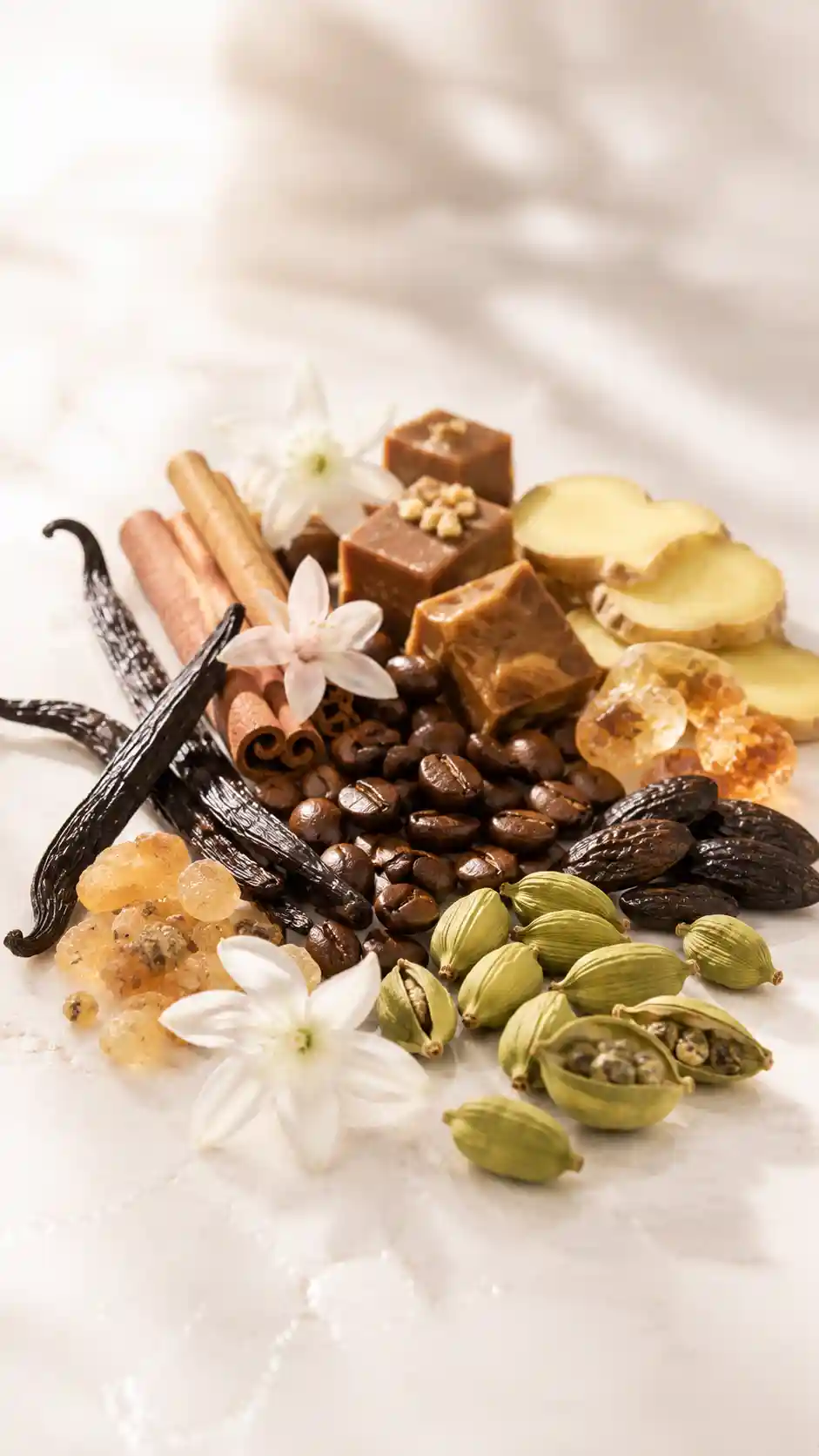 Khamrah Qahwa ingrediente 3