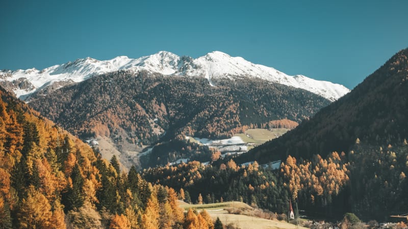 Alpine Autumn near Bolzano