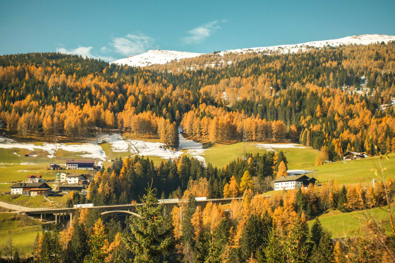 Alpine Autumn