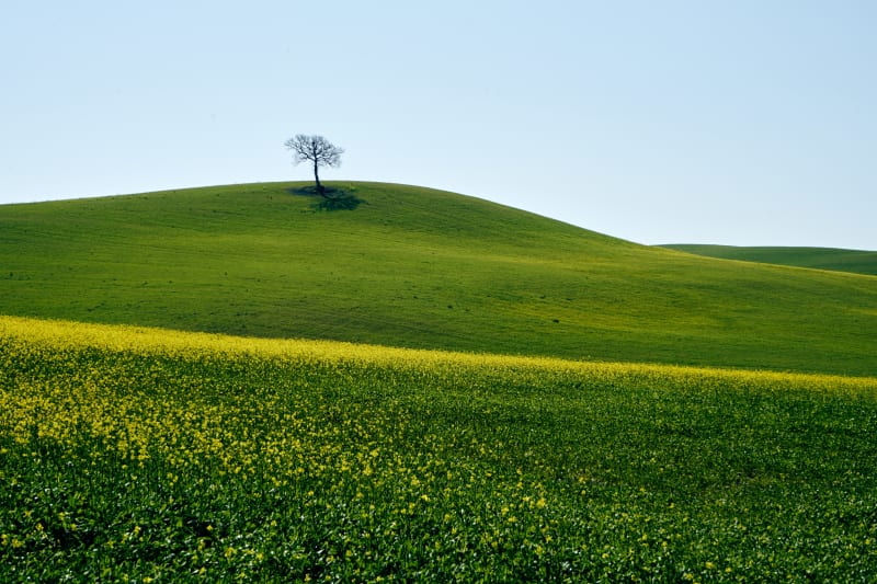 Farmland in Southern Tuscany