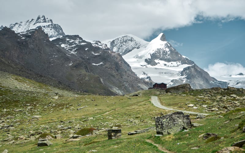 Adlerhorn