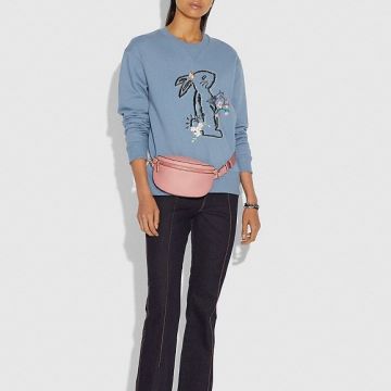 coach selena bunny hoodie