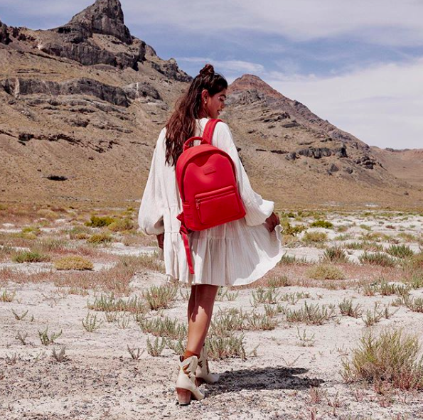 dagne dover dakota backpack amazon