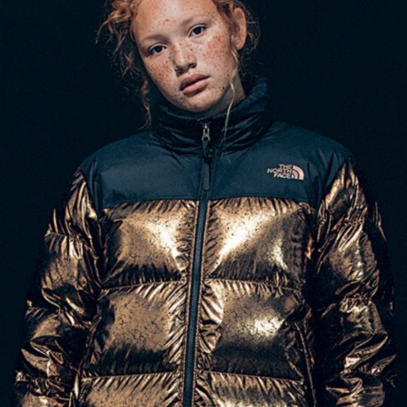 Nuptse 1996 Packable Quilted Down Jacket Hinted