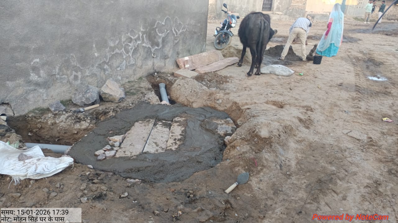 ग्राम गली सर्वेक्षण