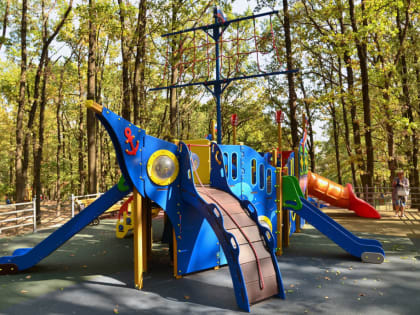 Новую детскую площадку оборудуют в посёлке Андроповского округа