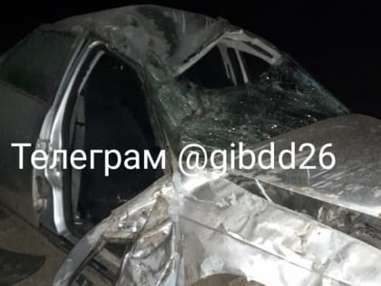 Неопытный водитель попал в аварию на Ставрополье и погиб
