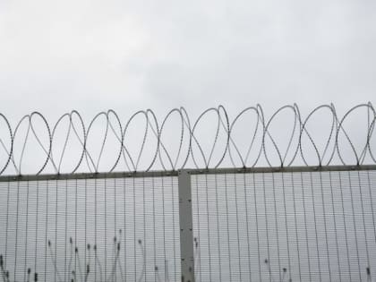 6 лет лишения свободы грозит владелице конного клуба в Шпаковском районе и ее мужу