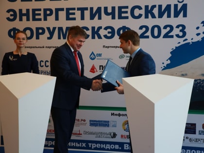 Кадры и наука: СКФУ представил программу содействия развитию электроэнергетической отрасли макрорегиона