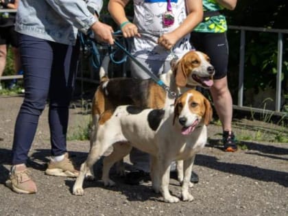 Спортсмены из 24 субъектов РФ приняли участие в спортивном фестивале «Машук Трейл»  в Пятигорске