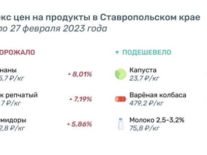 Бананы, помидоры, лук и овощные консервы для детского питания подорожали на Ставрополье за минувшую неделю