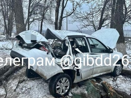 Беременная женщина и ребёнок пострадали в аварии на Ставрополье