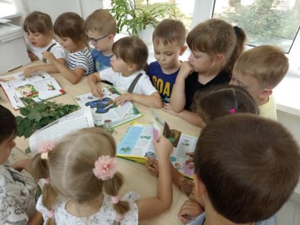 Зелёная аптека