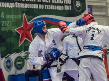 Соревнования по тхэквондо, посвященные Дню защитника Отечества прошли в Ставрополе